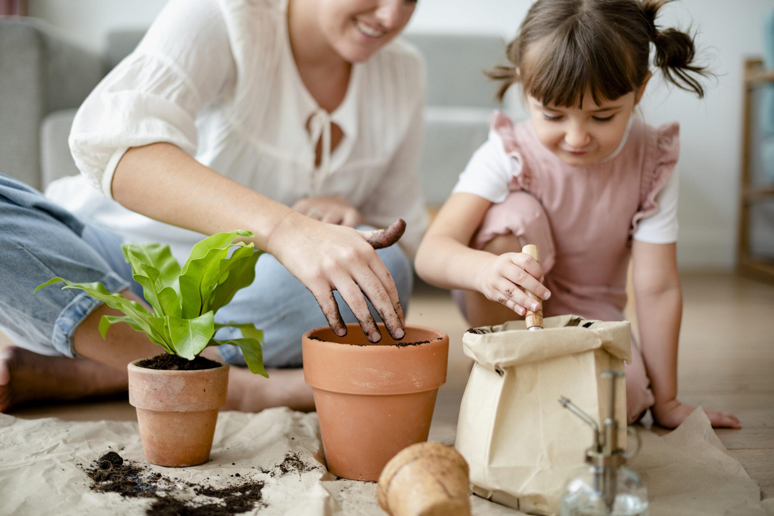 Kid potting plant at home as a hobby