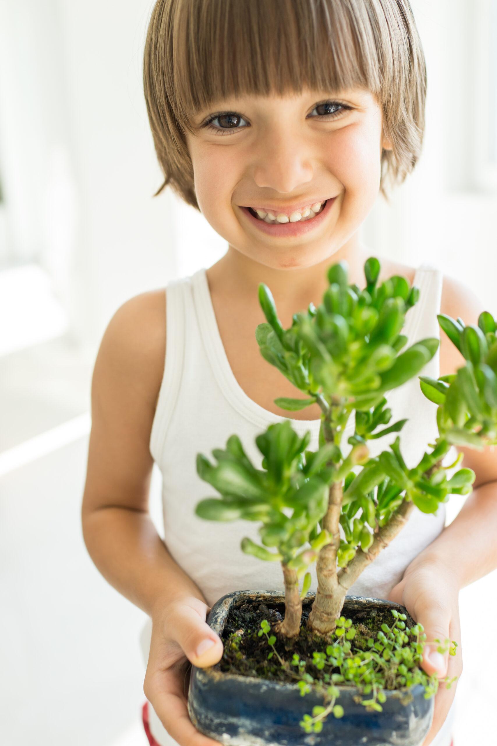 Kid holding plant growing organic herbs for cooking at home heal
