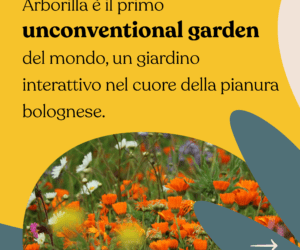 Arborilla mette radici!